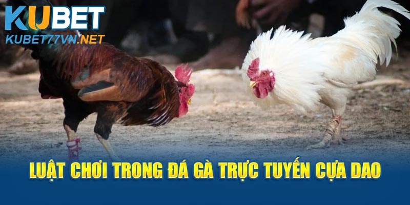 Luật chơi trong đá gà trực tuyến cựa dao