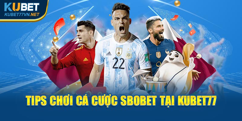 Tips Chơi Cá Cược SBOBET Tại Kubet77