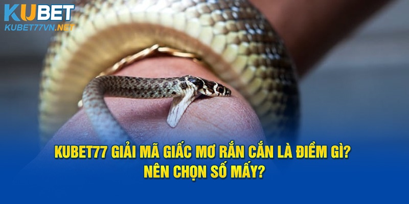 Kubet77 Giải Mã Giấc Mơ Rắn Cắn Là Điềm Gì?