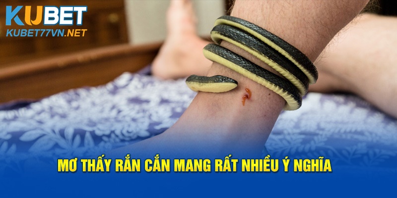 Mơ thấy rắn cắn mang rất nhiều ý nghĩa 